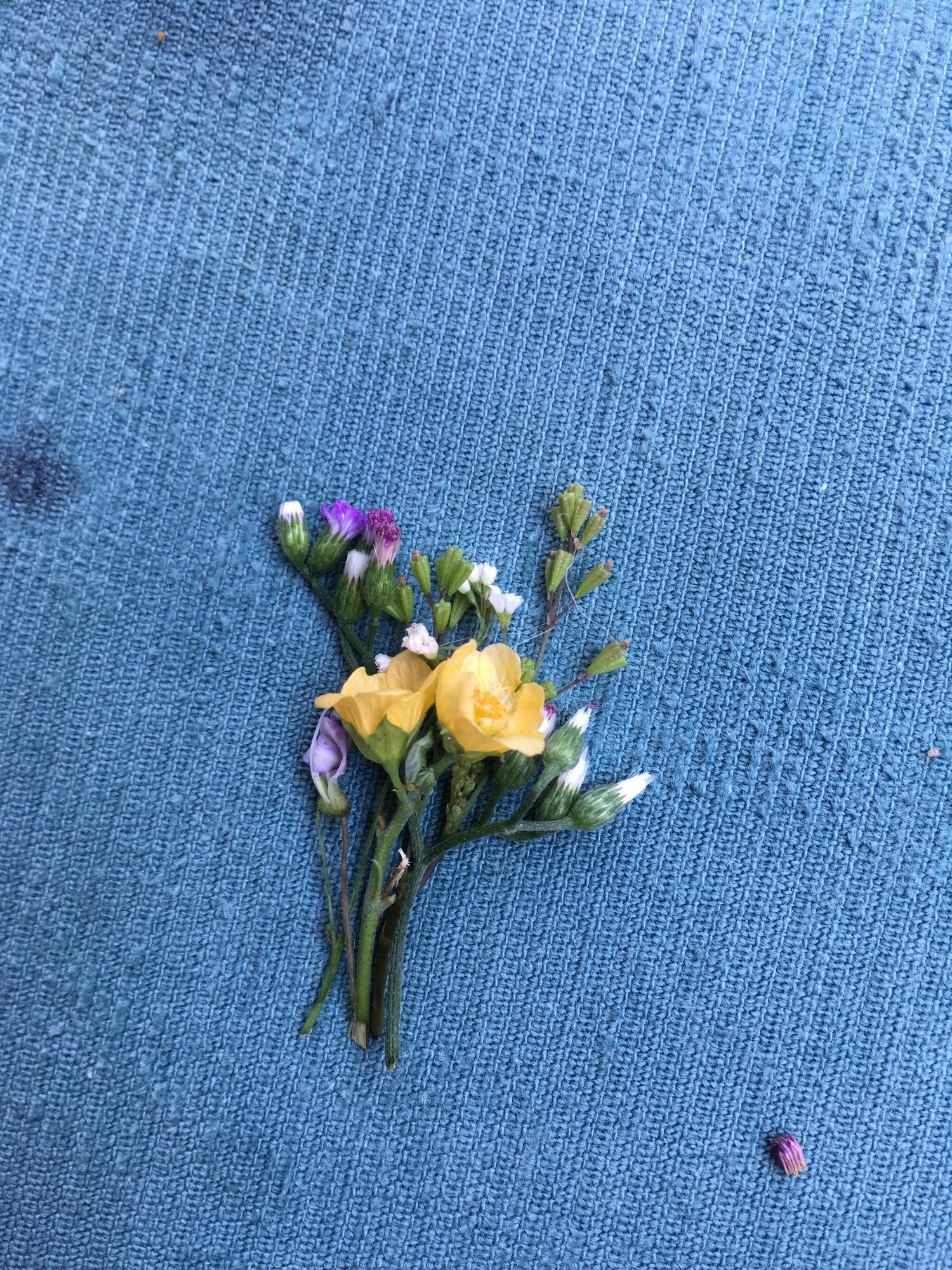 embroidered denim patch with floral motif